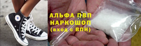 индика Аркадак