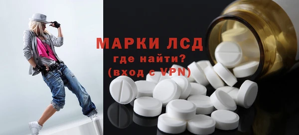 индика Аркадак