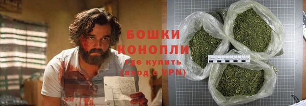 дживик Арсеньев