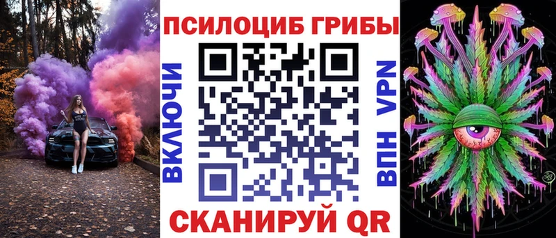 продажа наркотиков  Макушино  Галлюциногенные грибы прущие грибы 